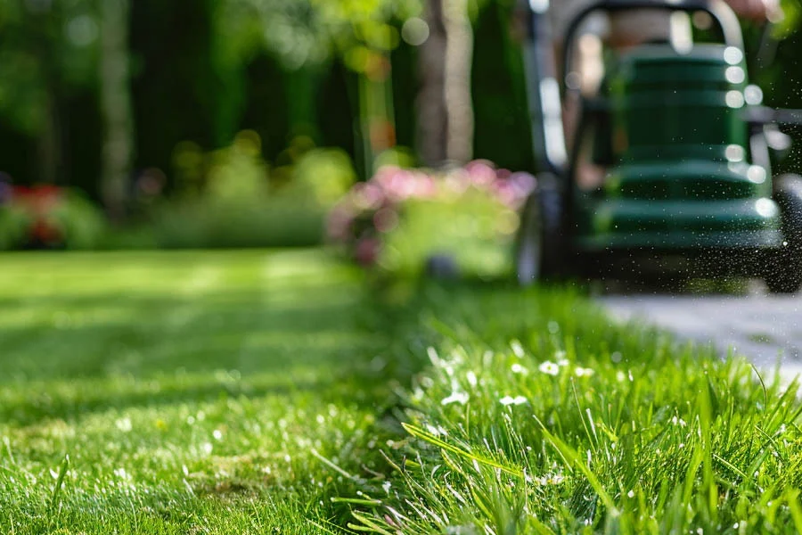 best battery operated mowers